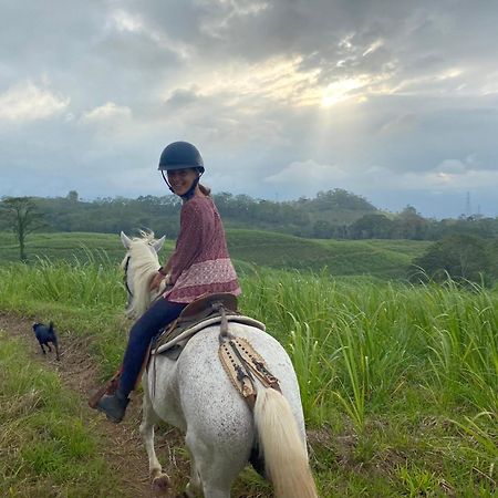 Hacienda Monteclaro Hotell Turrialba Eksteriør bilde
