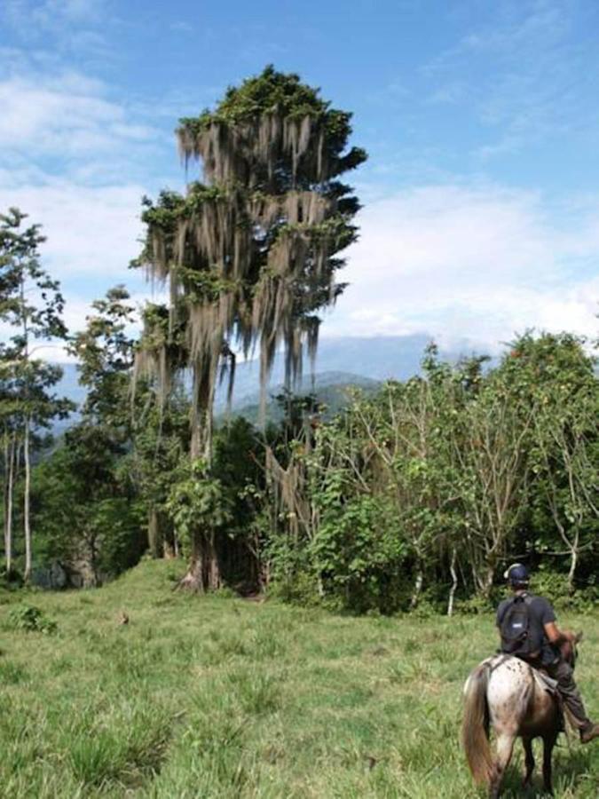 Hacienda Monteclaro Hotell Turrialba Eksteriør bilde