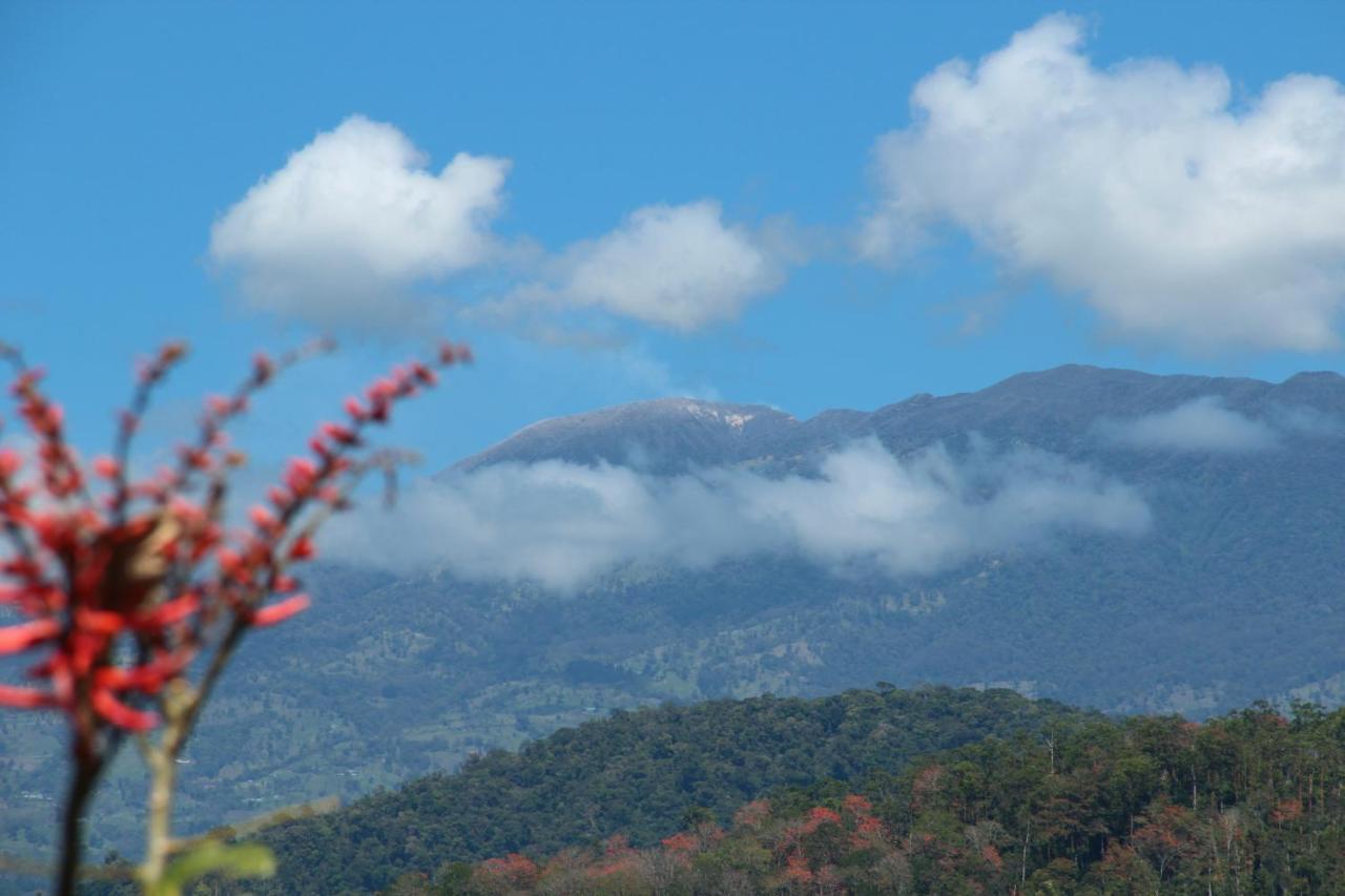 Hacienda Monteclaro Hotell Turrialba Rom bilde