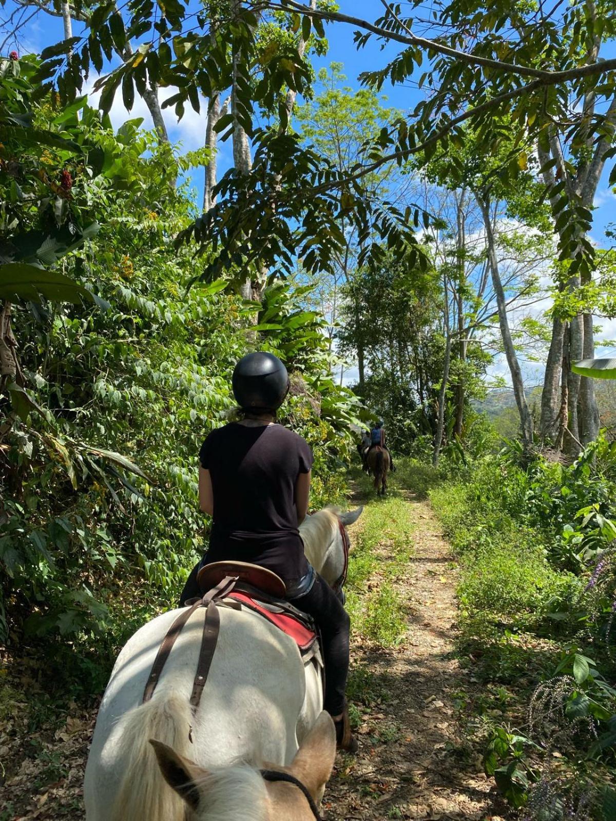 Hacienda Monteclaro Hotell Turrialba Eksteriør bilde