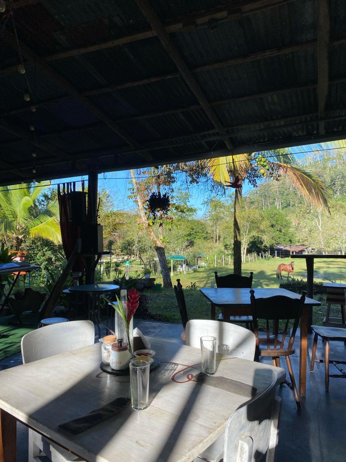 Hacienda Monteclaro Hotell Turrialba Eksteriør bilde
