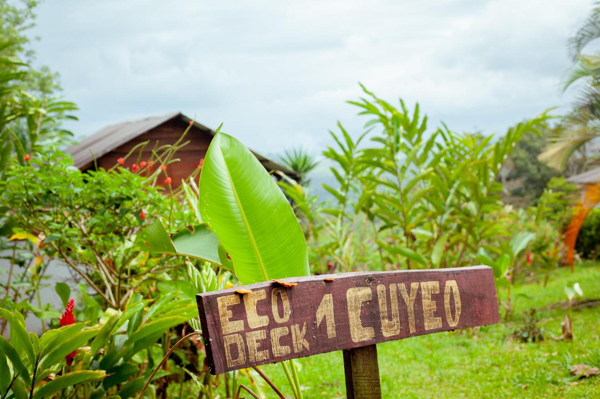 Hacienda Monteclaro Hotell Turrialba Eksteriør bilde