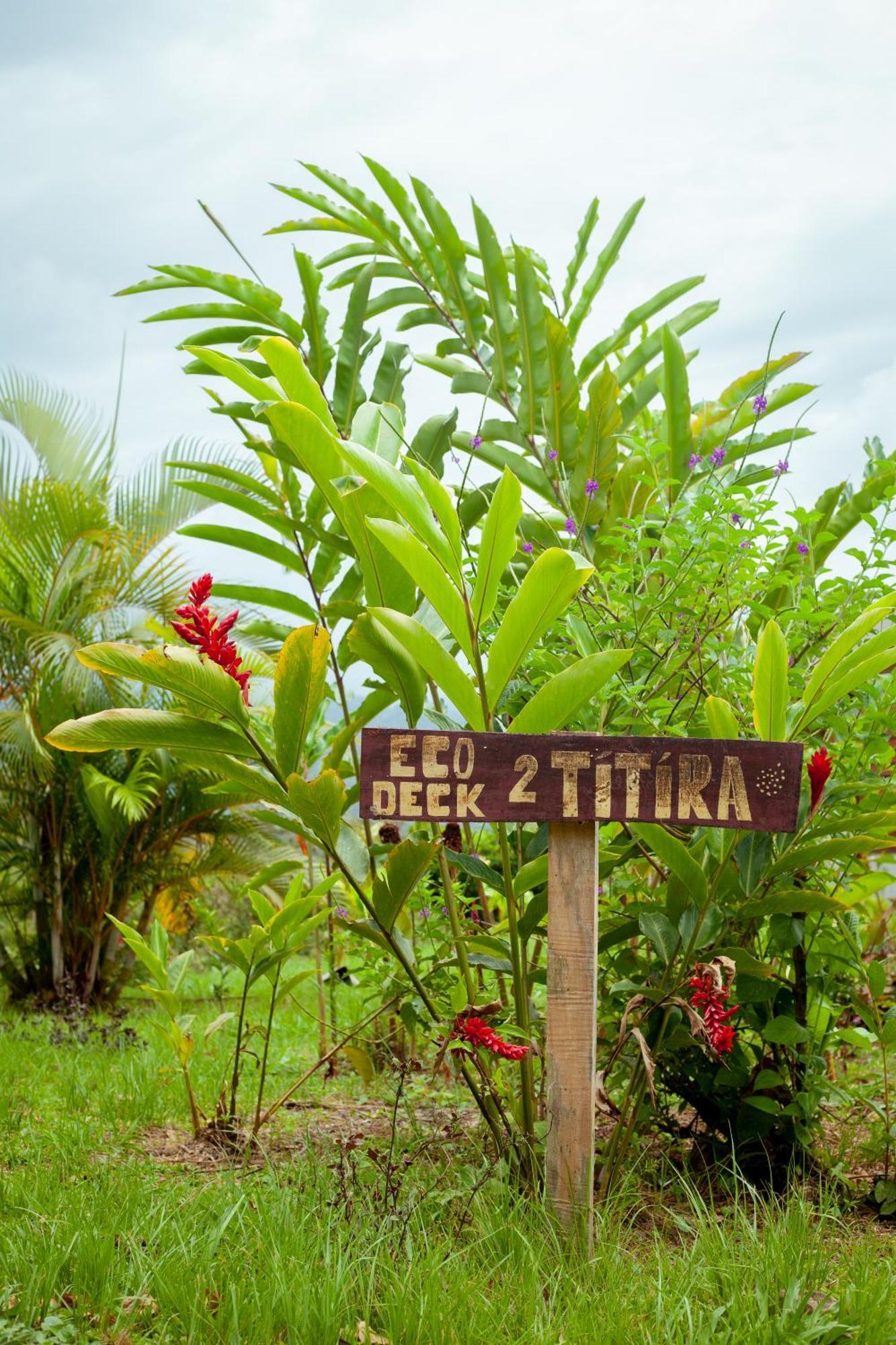Hacienda Monteclaro Hotell Turrialba Eksteriør bilde